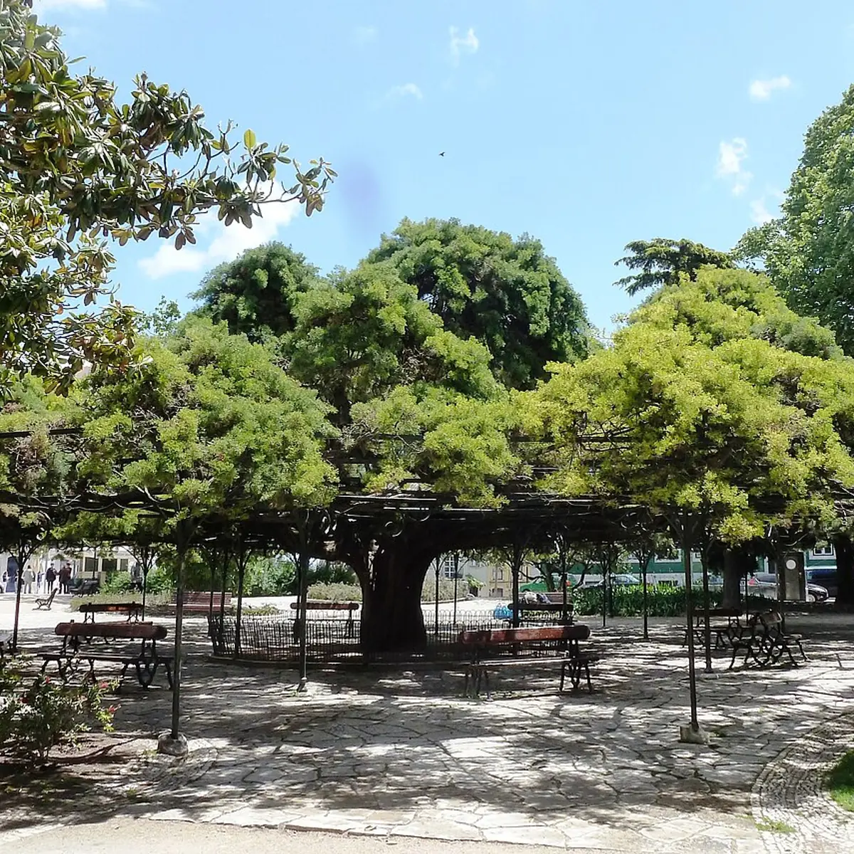 Jardim do Príncipe Real