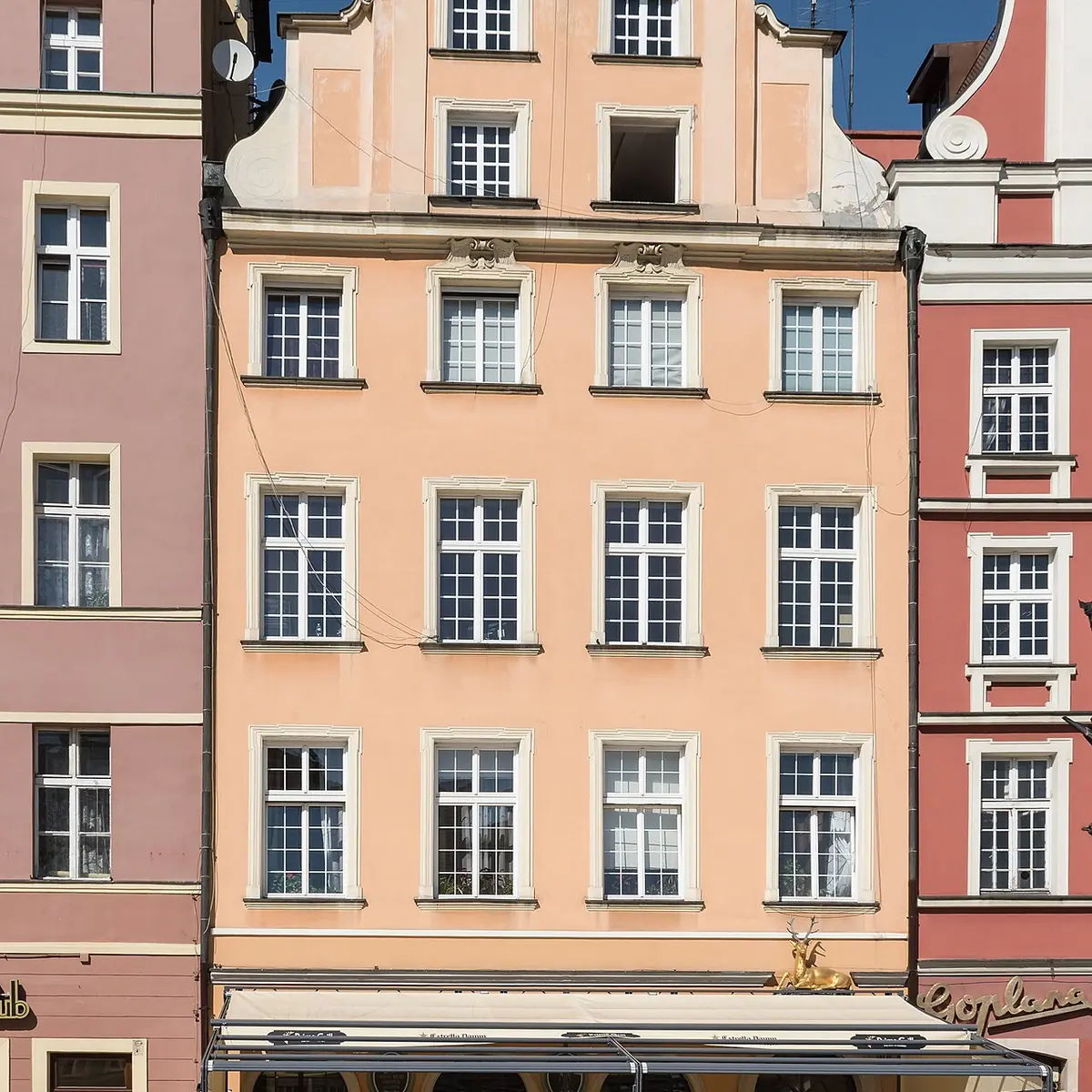 Kamienica Pod Złotym Jeleniem