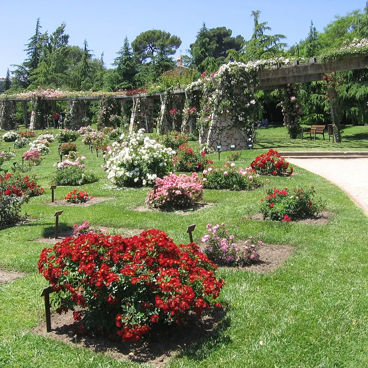 Parc i Roserar de Cervantes