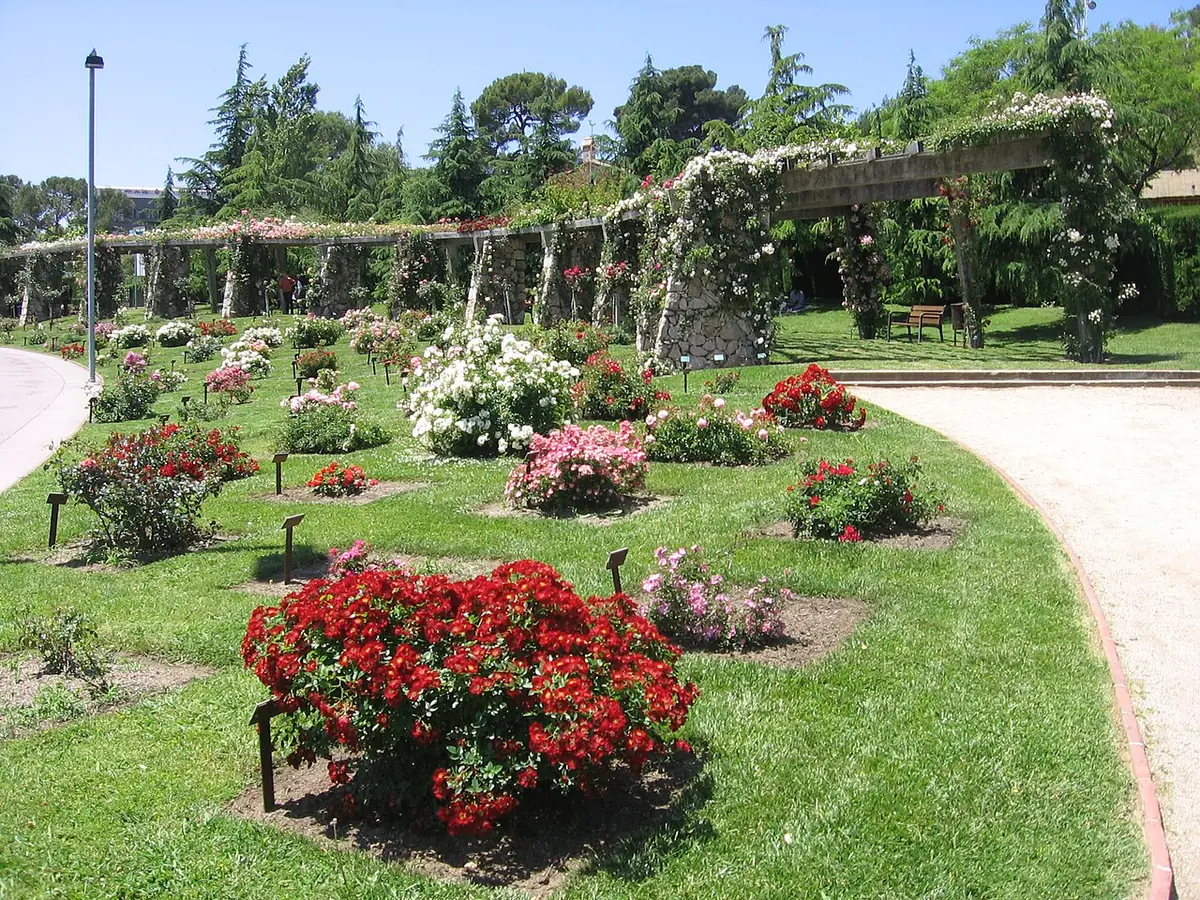 Parc i Roserar de Cervantes