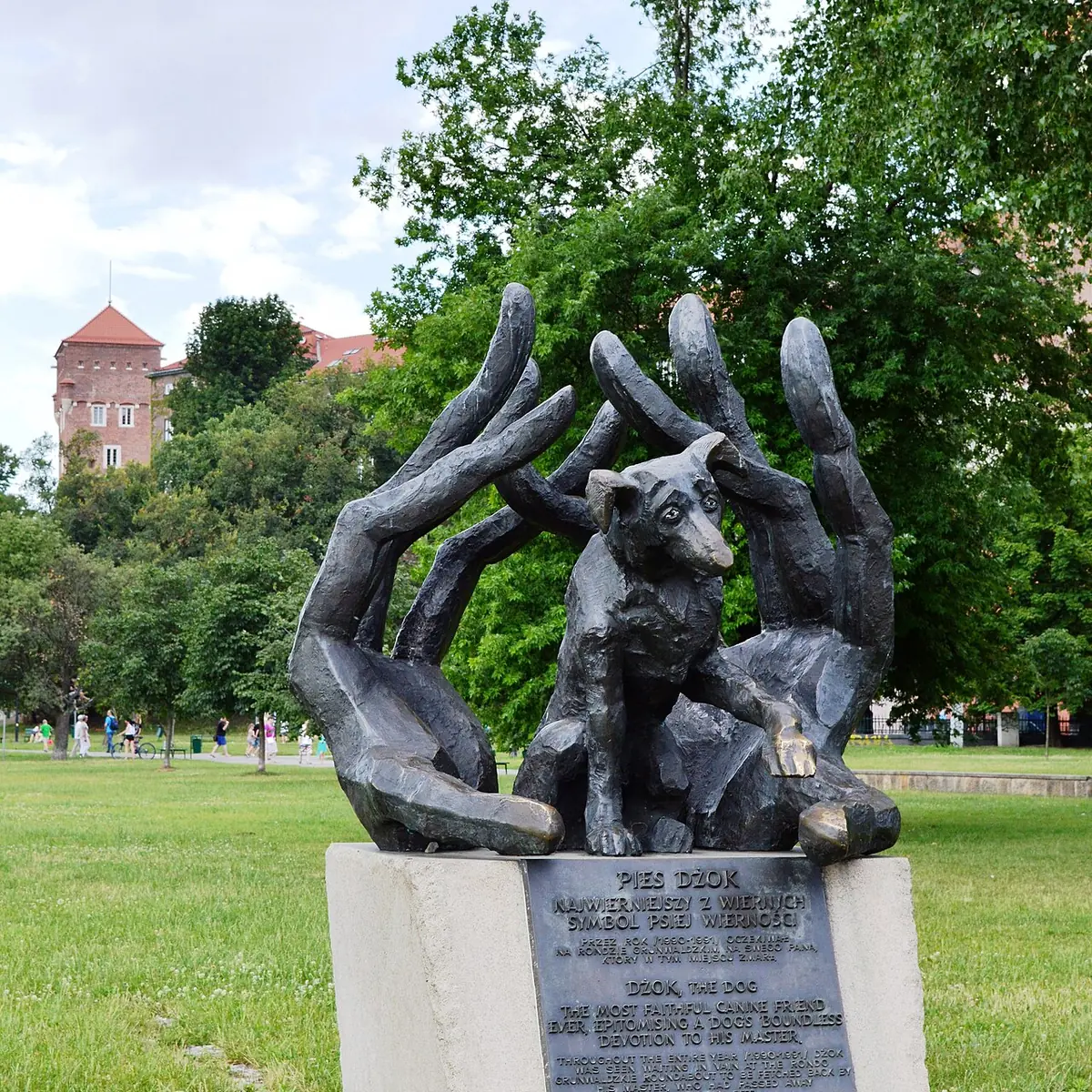 Pies Dżok