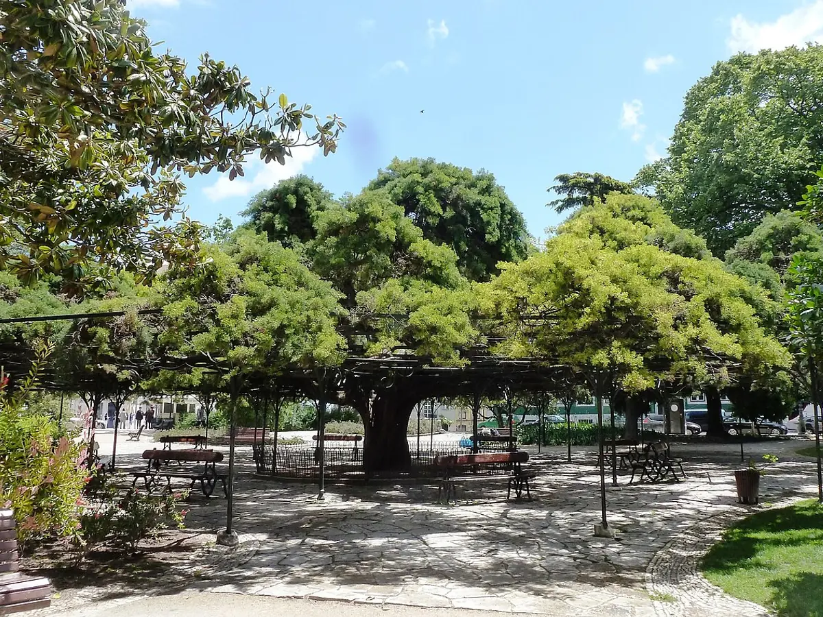 Jardim do Príncipe Real