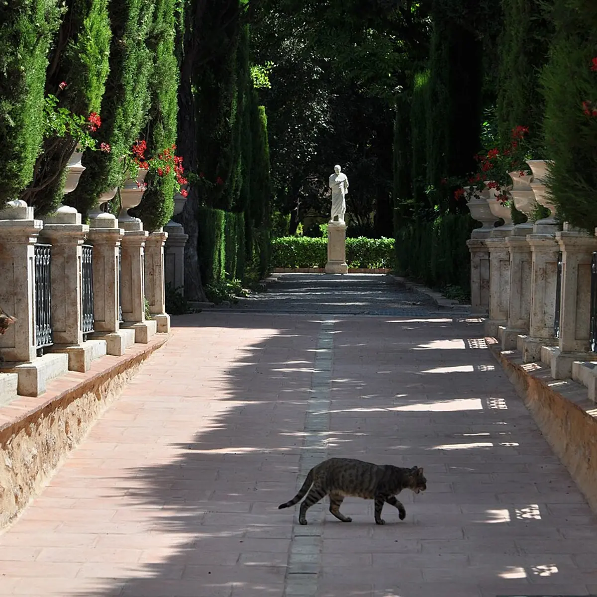 Jardí de Monforte
