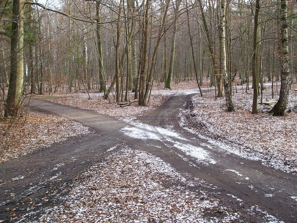 Wielka Gwiazda