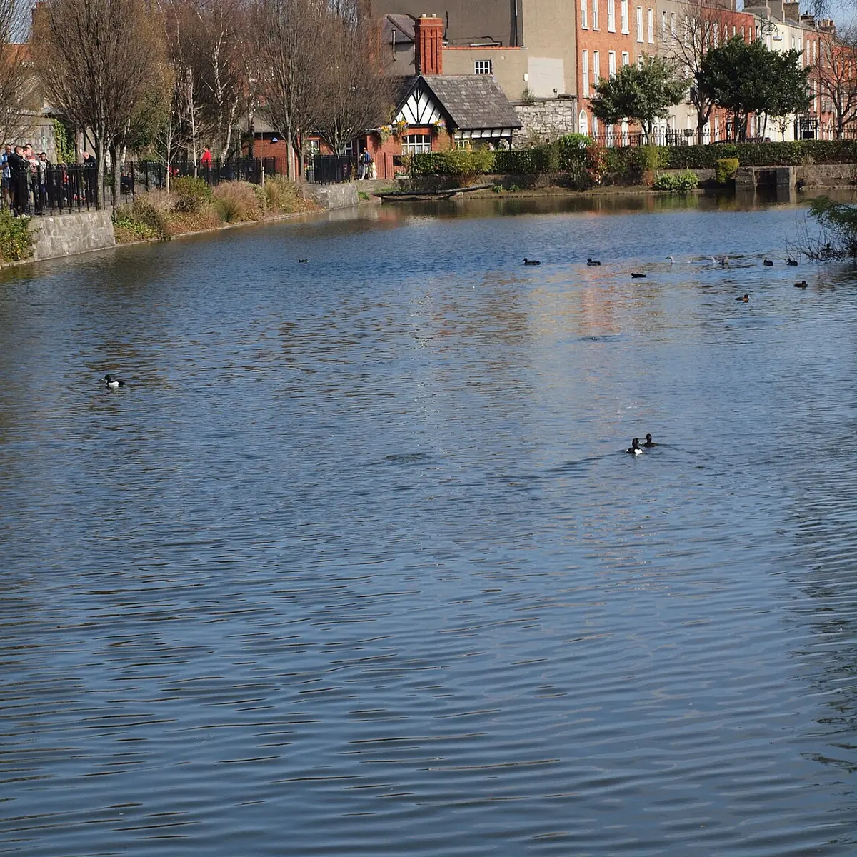 Blessington Street Basin