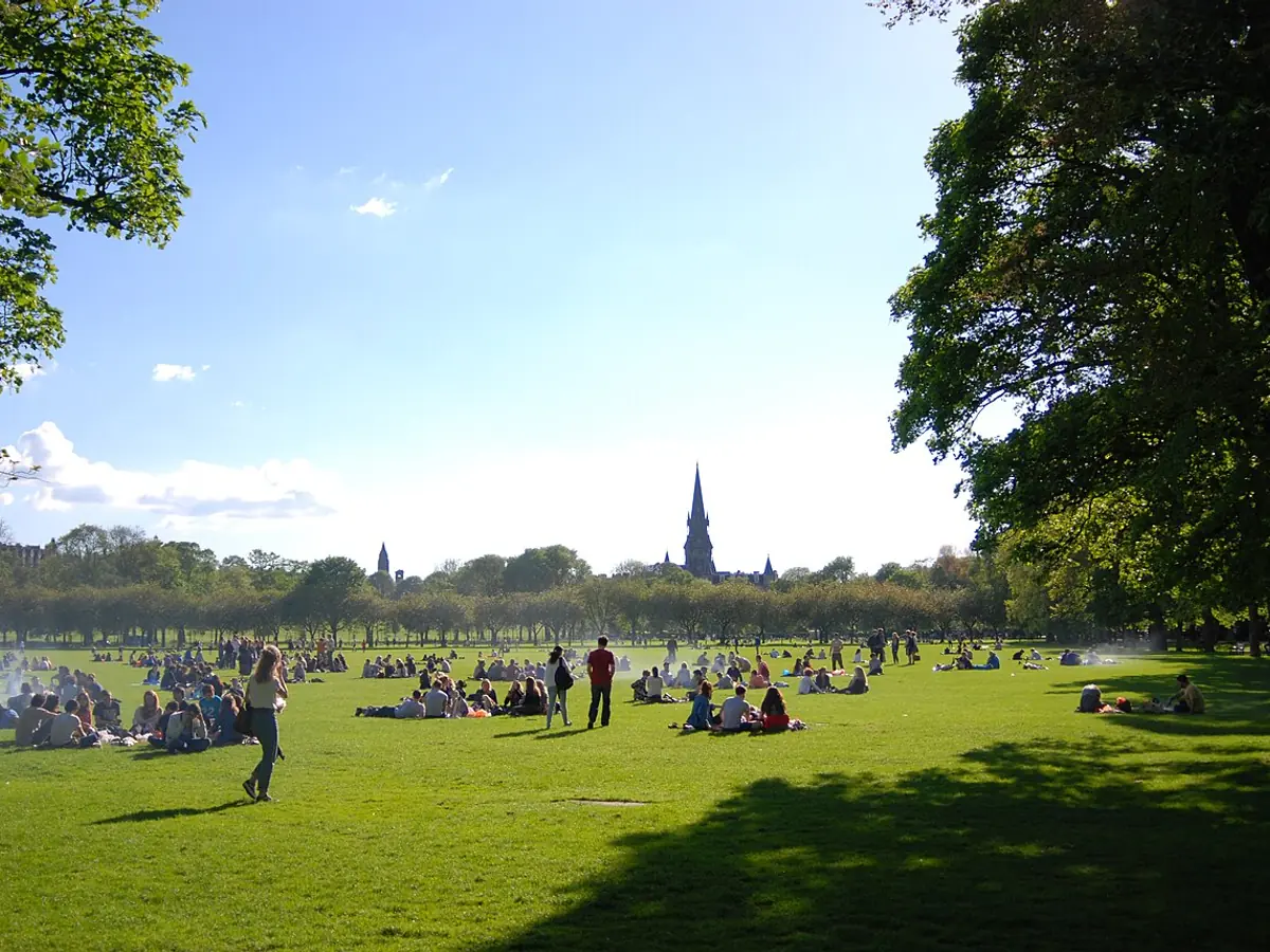 The Meadows