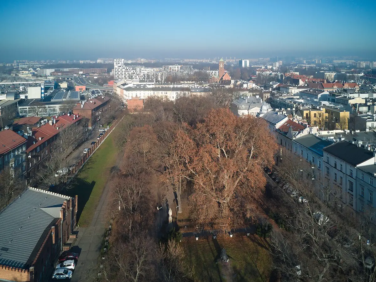 Park Strzelecki